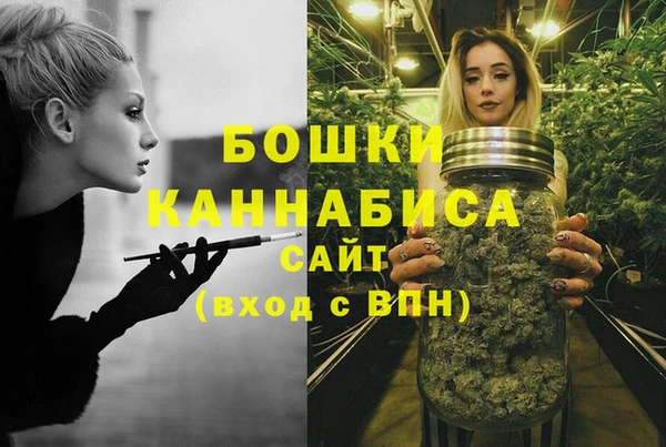 PSILOCYBIN Алзамай