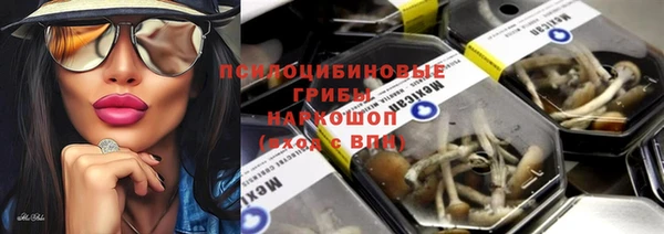 ешки Абинск