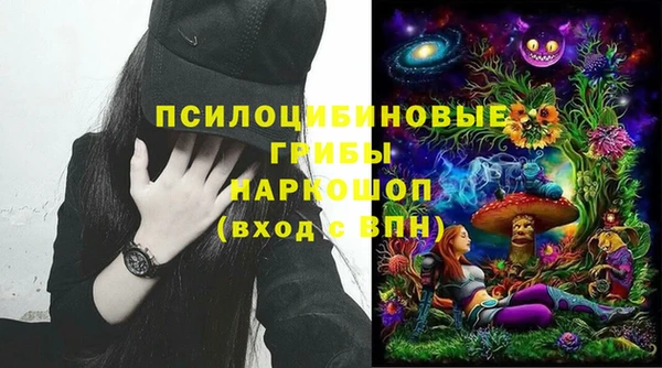 PSILOCYBIN Алзамай