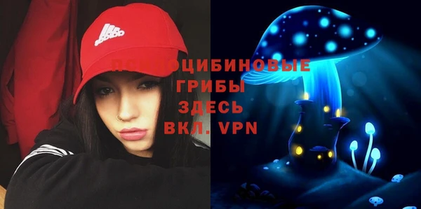 тгк Алексин
