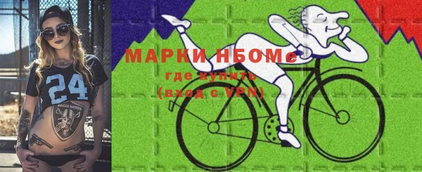 PSILOCYBIN Алзамай