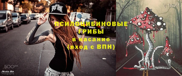 тгк Алексин