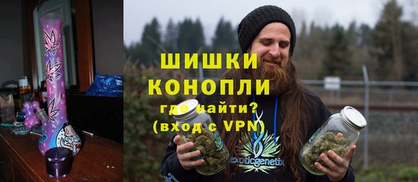 PSILOCYBIN Алзамай