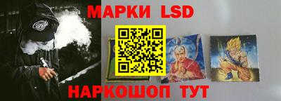 apvp Канаш