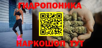 apvp Кандалакша