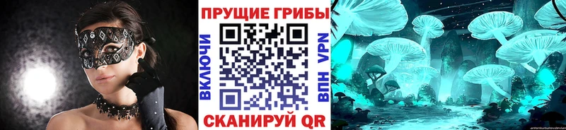 купить  сайты  Лосино-Петровский  кракен вход  Псилоцибиновые грибы MAGIC MUSHROOMS 