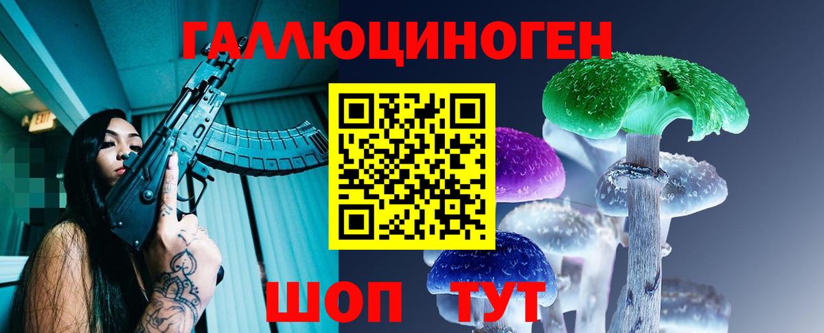 Псилоцибиновые грибы Psilocybine cubensis Лосино-Петровский